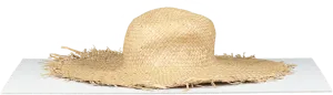 Beige Natural Straw Hat With Fringed Edge One Size